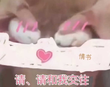 2022六月你好励志句子合集 6月发朋友圈的励志经