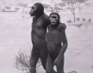 最近很火的18000年前猿人的搞笑文案带图片 让人