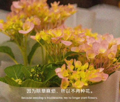 让人醒悟很有哲学的霸气说说 精辟又有哲理的语(精选24句)