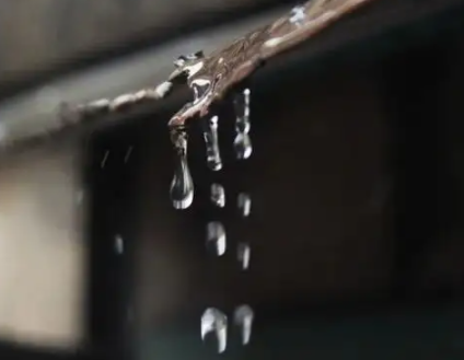 梅雨季家里很潮的说说 关于梅雨季节的朋友圈短(精选22句)