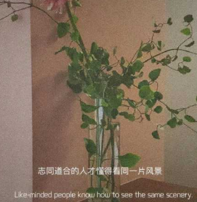 说说霸气却很暖心的说说超短2022 治愈系超暖心霸