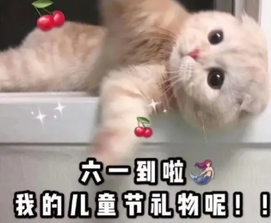 最近很火的大冤种文案 超级沙雕的大冤种语录(精选21句)