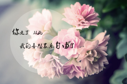伤感说说看完心好累 且爱且恨且清秋若即若离若(精选30句)