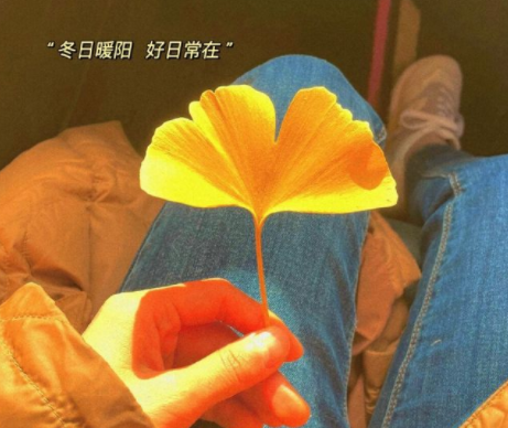 看完哭了那种心痛伤感说说大全 虐心伤感说说带(精选4句)