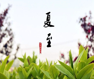 那些情话既文艺又甜句子带图片 15句最暖心的情
