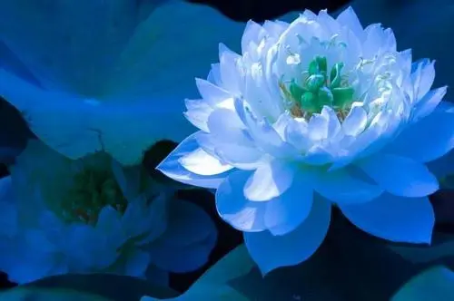 精美的一句话发朋友圈 适合发朋友圈的精美句子(精选13句)