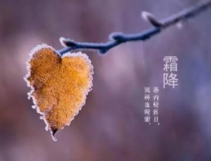 霜降节气发朋友圈的祝福语 2021霜降节气的暖心文