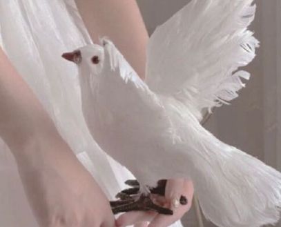 形容自己直性子的句子 心直口快没有心眼的人说(精选15句)