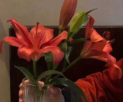 一瞬间击碎的你的伤感文案 很难过的伤感语录(精选24句)