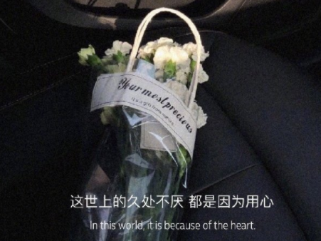 林黛玉经典语录怼人最新 林黛玉精辟语录大全(精选24句)