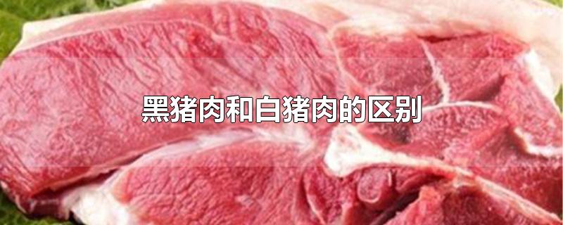 黑猪肉和白猪肉的区别 黑猪肉和白猪肉的区别