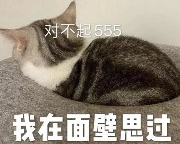 跟自己的对象道歉认错的可爱文案 超级可爱的道(精选24句)