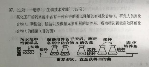 理综10