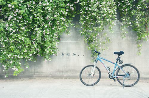 晚安致自己的一句话 关于晚安的唯美句子(精选60句)
