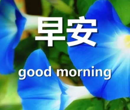 必评论必点赞的经典早安说说 很舒心的精致的早(精选23句)