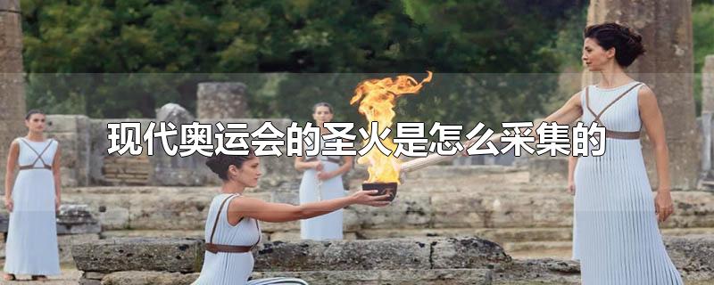 现代奥运会的圣火是怎么采集的 现代奥运会的圣火是怎么采集的