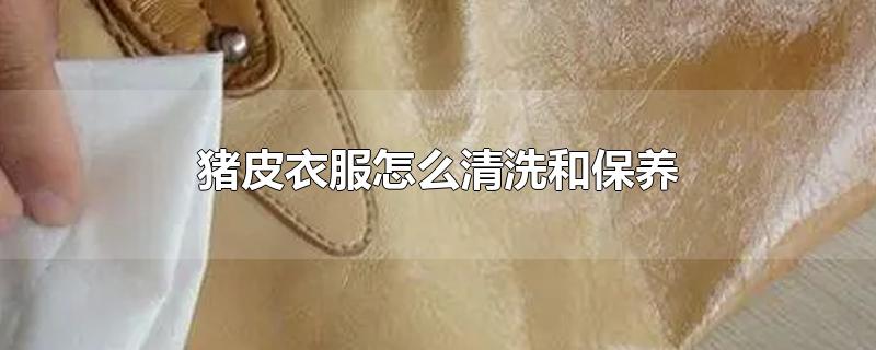 猪皮衣服怎么清洗和保养 猪皮衣服怎么清洗和保养