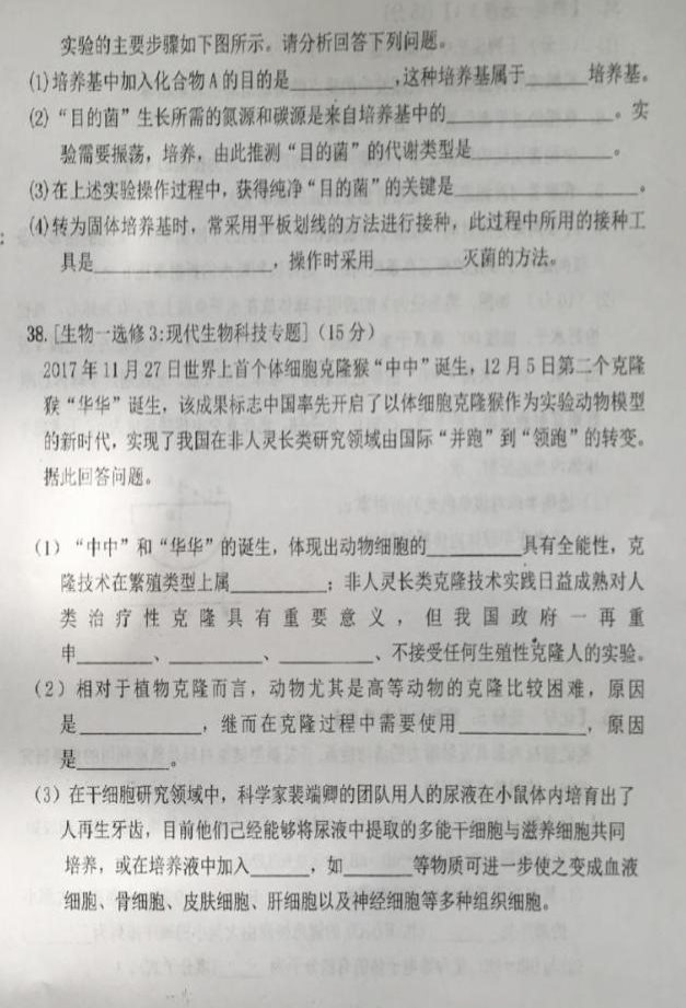 理综10