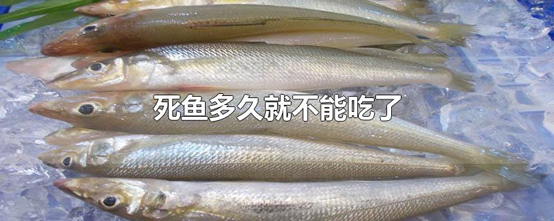 死鱼多久就不能吃了 死鱼多久就不能吃了