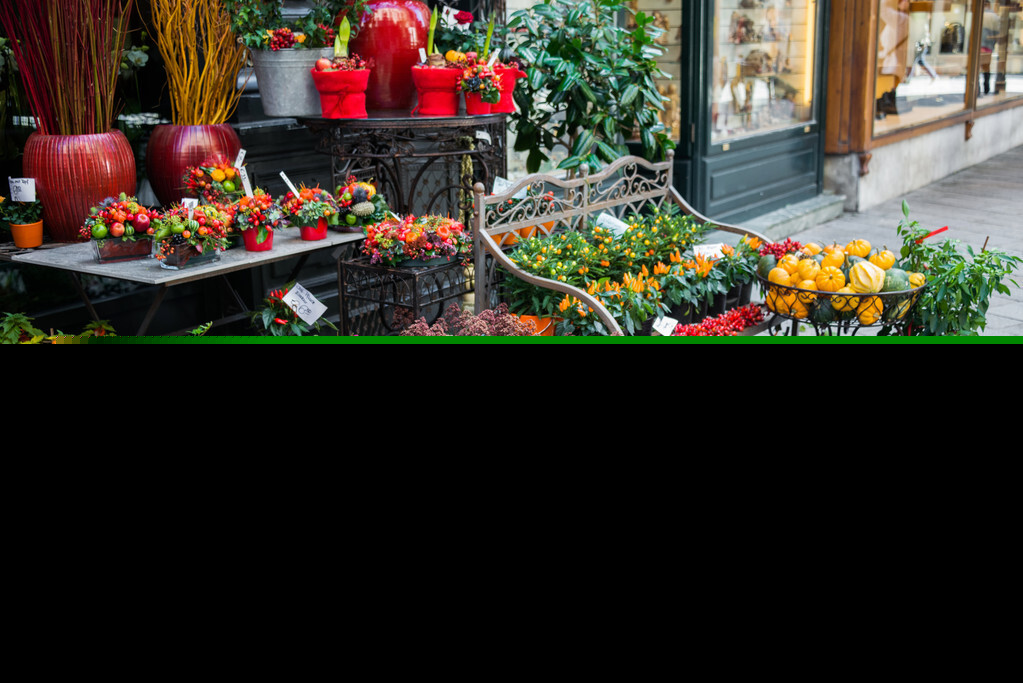 想开花店吗？首先你要知道花店的类型与特点