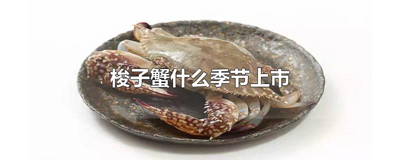 梭子蟹什么季节上市 梭子蟹什么季节上市