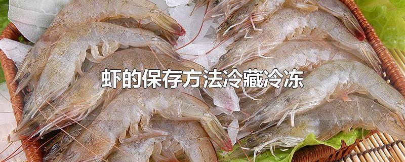 虾的保存方法冷藏冷冻 虾的保存方法冷藏冷冻