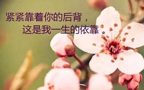高冷又随性的句子开心
