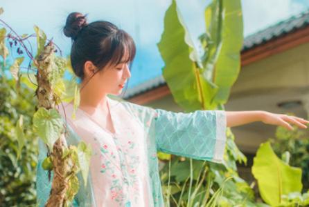 优美词句摘抄大全初中