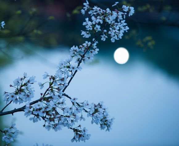 拍花发朋友圈说说