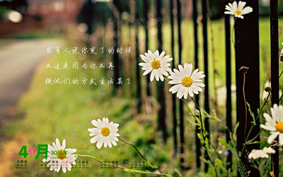 鲜花治愈心情文字