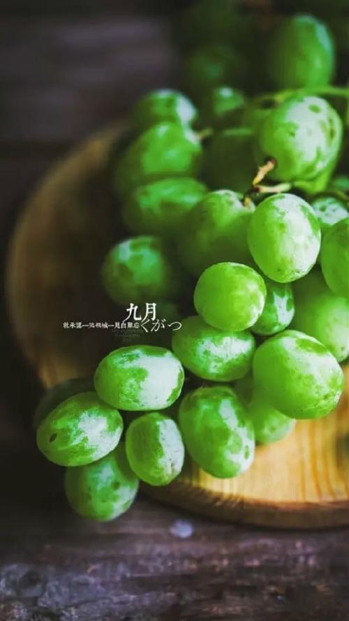 一个人夜晚的心情短语