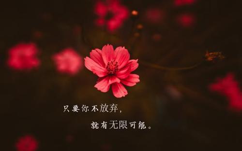 菜根谭好词好句好段赏析
