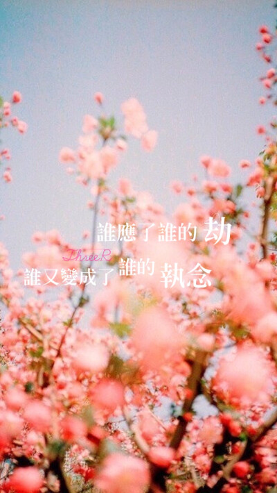 好词好句加赏析