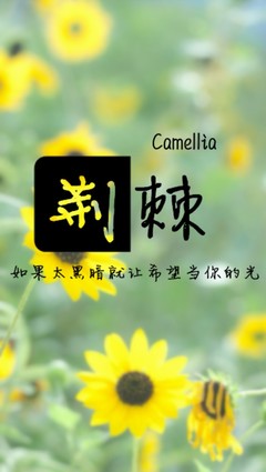 人生哲理语句经典语录