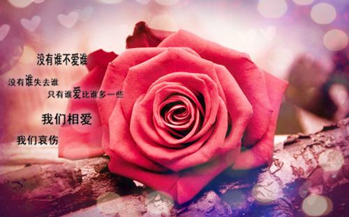 书中那些惊艳的句子