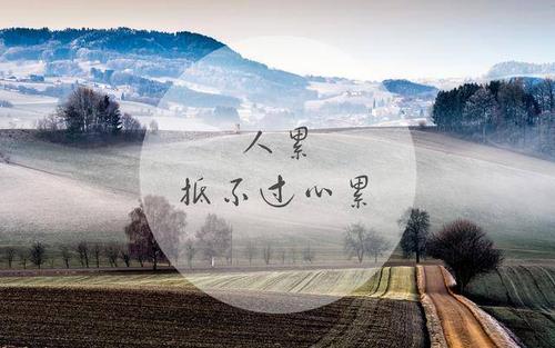 最新经典语录人生感悟
