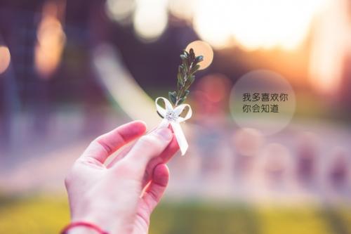 幽默情话大全浪漫情话