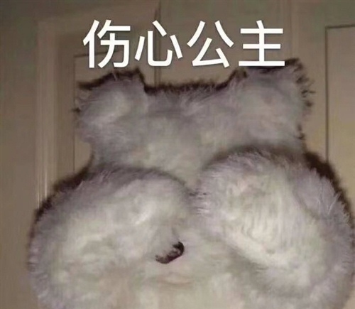 表达胃难受的说说 胃不舒服想发个说说30句