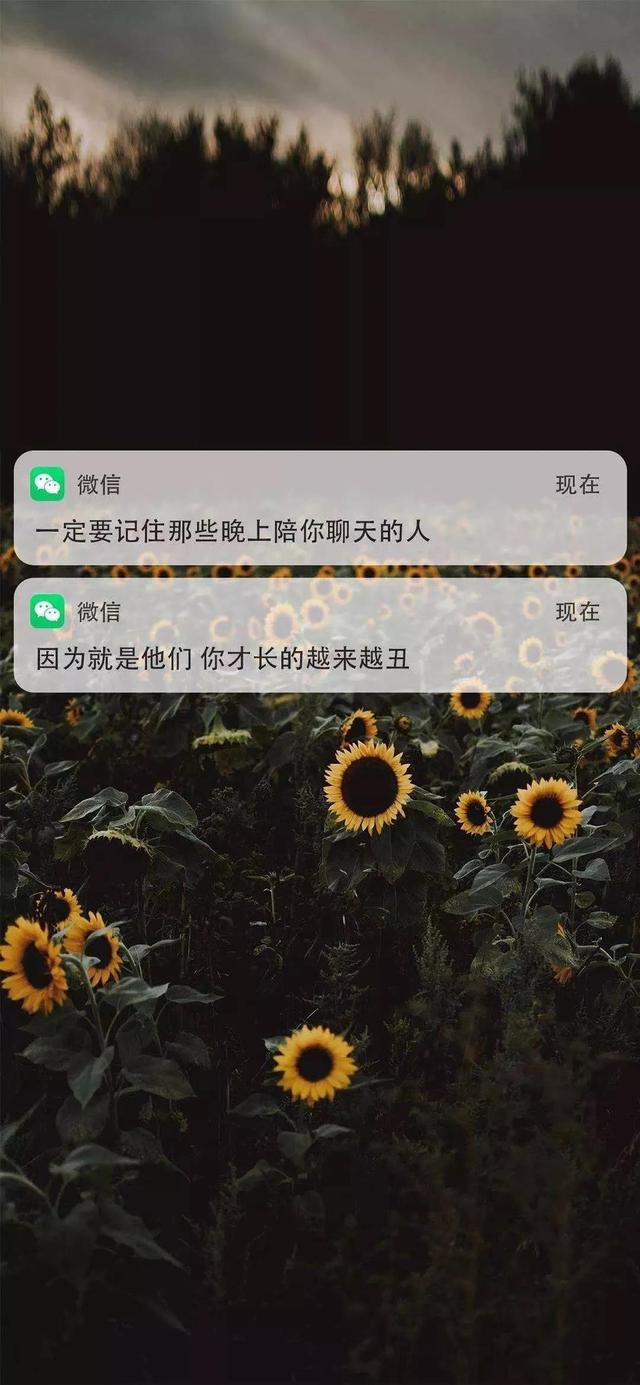 信息弹窗情感文案(情感文案短文)