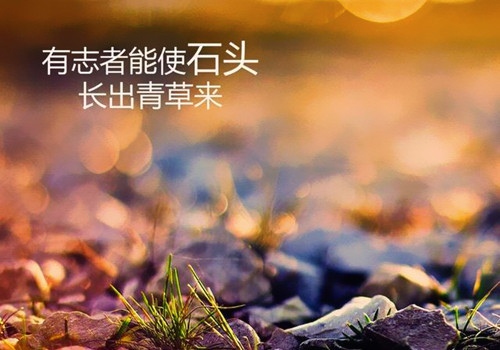 2021早晨正能量的朋友圈说说46句