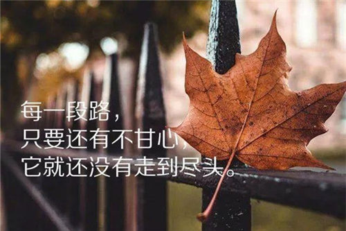 说说简单气质一句话发朋友圈的话(精选150句)
