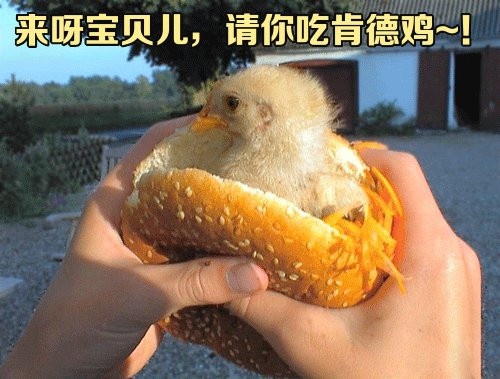 适合发朋友圈搞笑有趣的说说38句