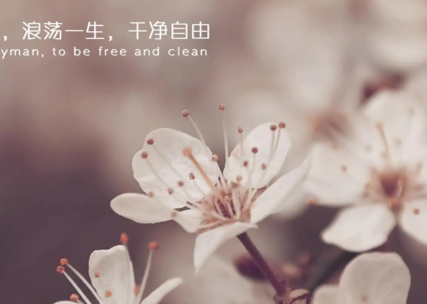 早上好高情商句子发朋友圈