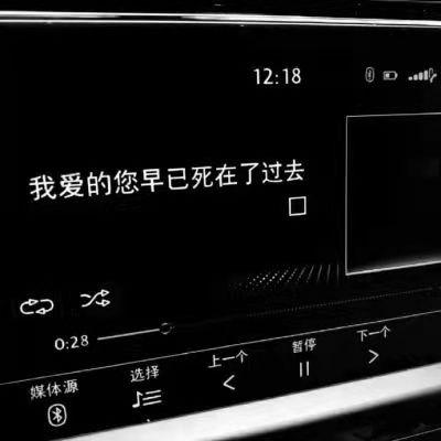 情感文案其实你不必那么冷淡我从没想过(感情不会淡的文案)