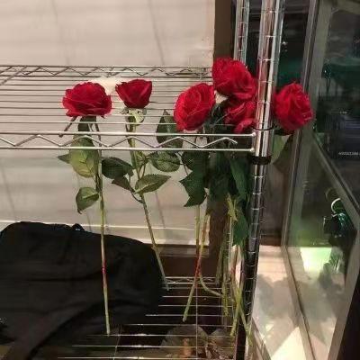 情感文案其实你不必那么冷淡我从没想过(感情不会淡的文案)