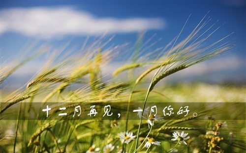 十二月再见一月你好朋友圈说说34句