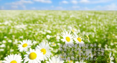 感恩简短文字句子 关于感恩的心情短语