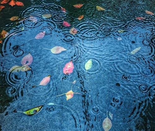 下雨感慨说说心情 雨下个不停的心情说说23句