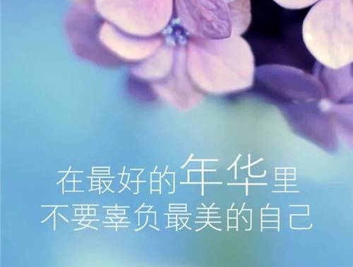 你有什么资格不努力说说 你就该更加努力的说说30句