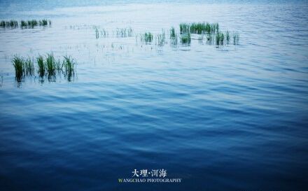 qq开心说说大全 qq说说开心心情短语